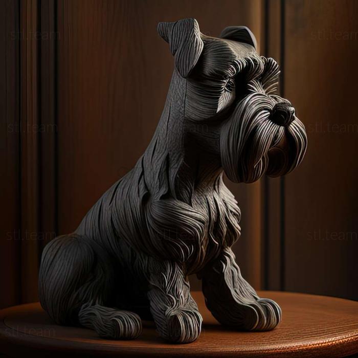 Zwergschnauzer dog